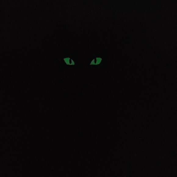 Disney Hocus Pocus Binx Black Glow-In-The-Dark Cat Mug 16 Oz - Picture 3 of 8